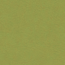 Avocado 107 2110