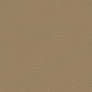Beige 107 1050