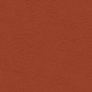 Nectarine 107 6003