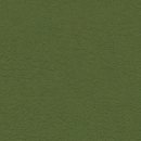 Olive 107 5001
