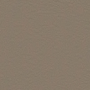 Taupe 107 0034