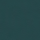 Teal 107 2119