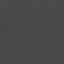 Leather-101