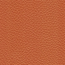 Leather-116