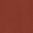 Leather-117