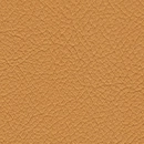 Leather-122