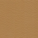 Leather-123