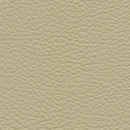 Leather-126