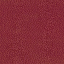 Leather-127