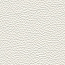 Leather-129