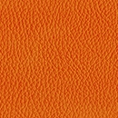 Leather-133