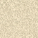 Leather-136