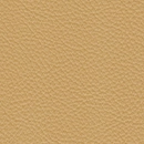 Leather-139