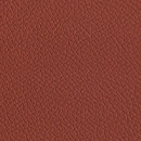 Leather-141