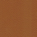 Leather-142