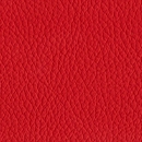 Leather-145