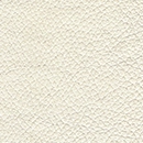 Leather-149