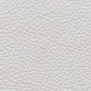Leather-179
