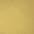 Leather-4229
