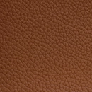 Leather-4822
