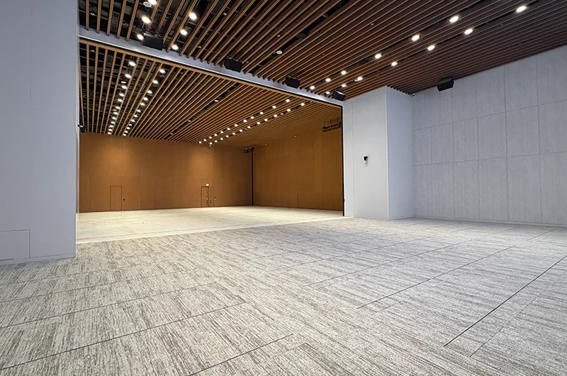 Cyberport 5 Multi-function Hall