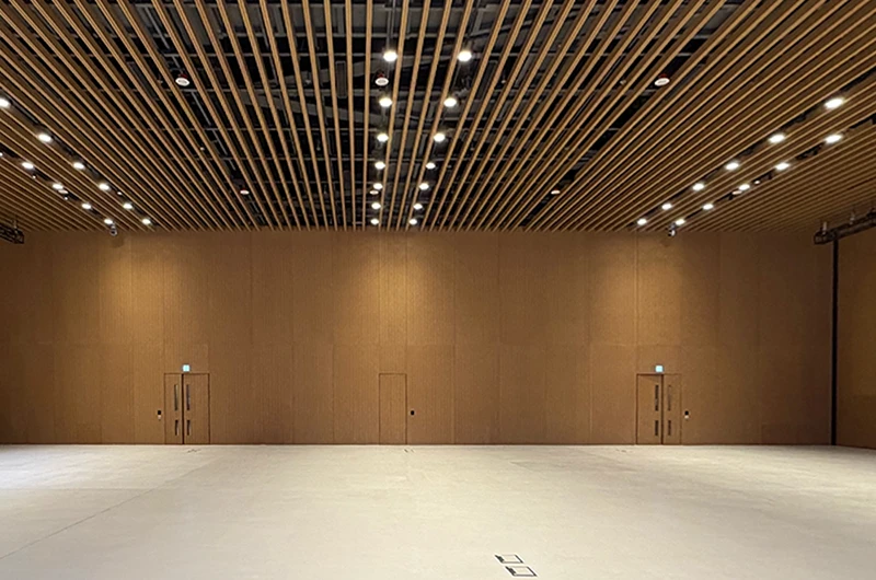 Cyberport 5 Multi-function Hall